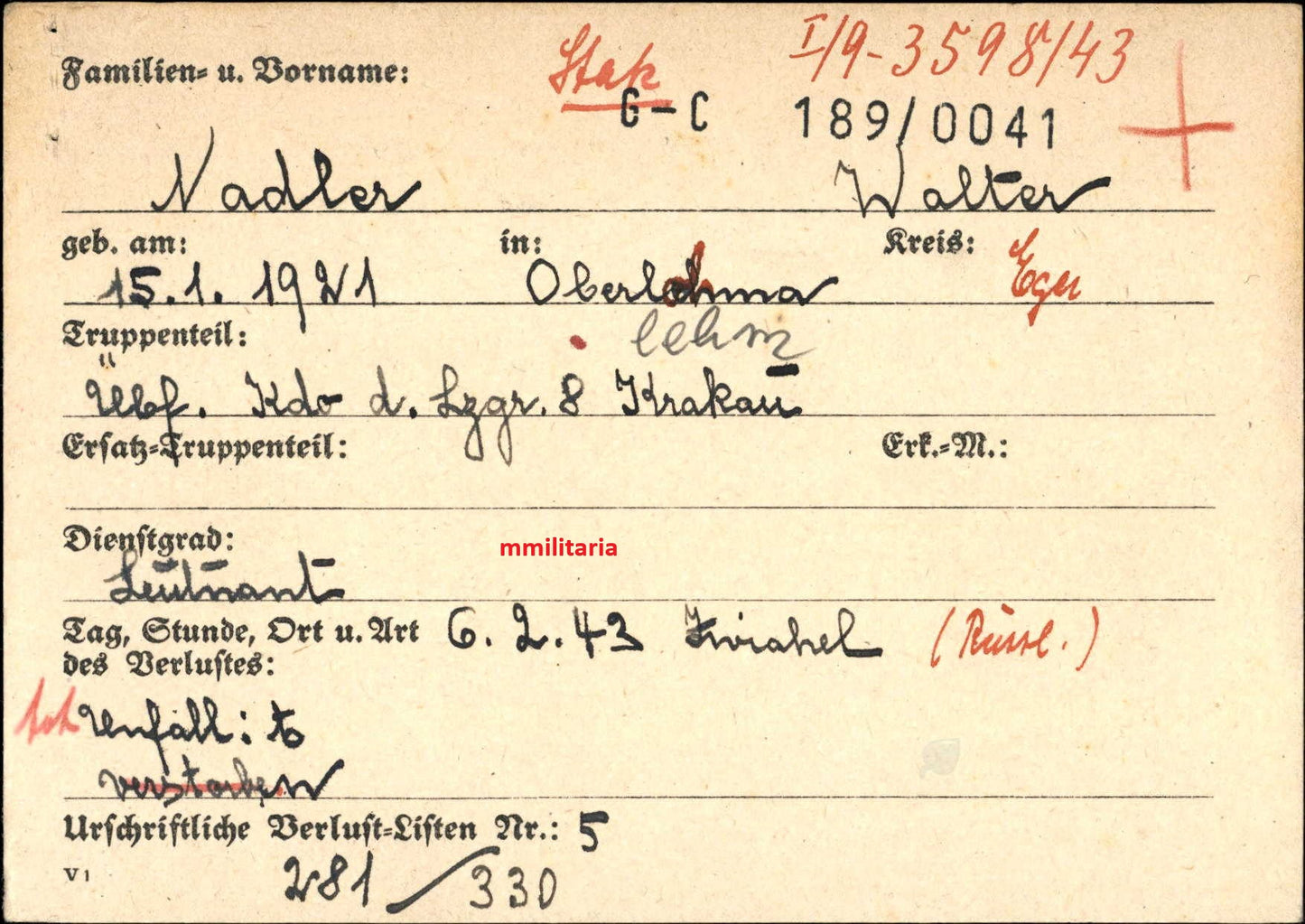 Sterbebild Leutnant Oberlohna Pilot Überführungs-Kommando D 8 Krakau III./ Jagdgruppe Süd Grabfoto Zwiahel Ukraine