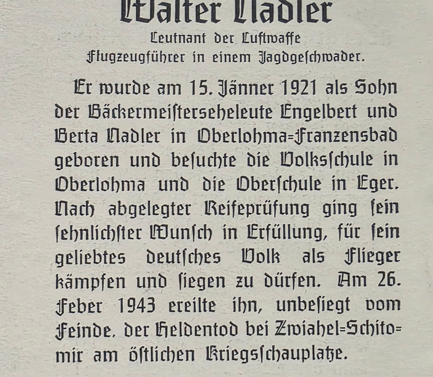 Sterbebild Leutnant Oberlohna Pilot Überführungs-Kommando D 8 Krakau III./ Jagdgruppe Süd Grabfoto Zwiahel Ukraine
