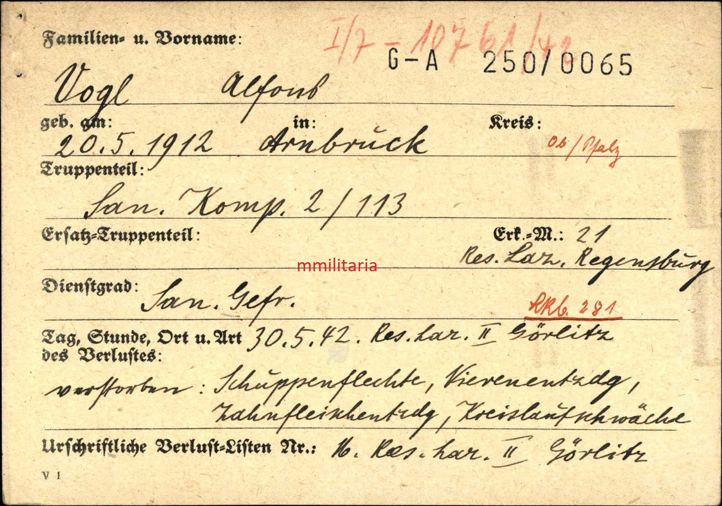 Sterbebild Gefreiter Sanitäts-Komp. 2/113 Reserve Lazarett II Görlitz Deutschland